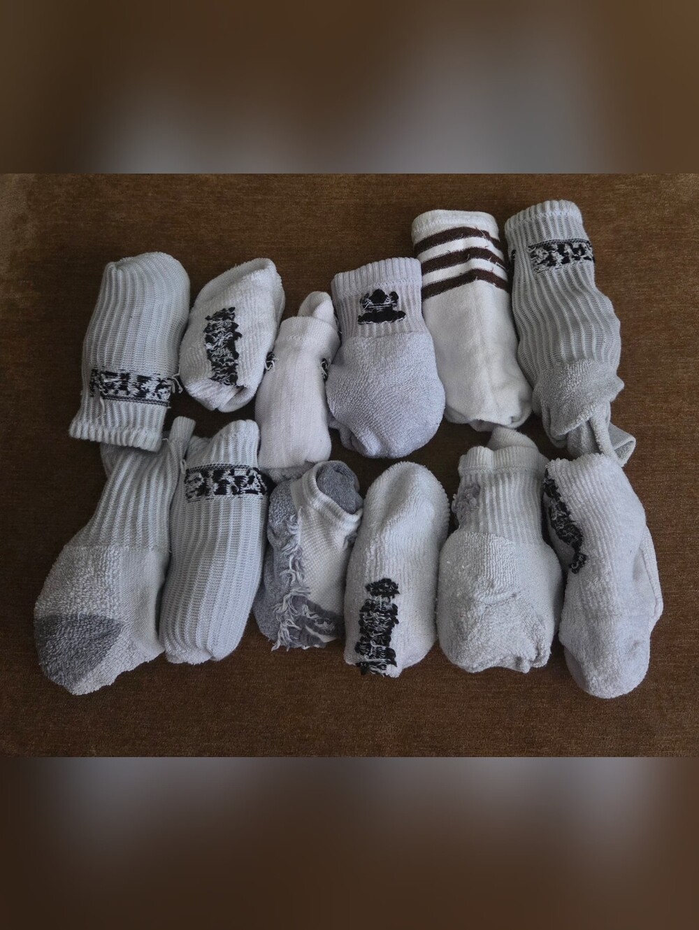 Boys Bundle Of White Assorted Socks
